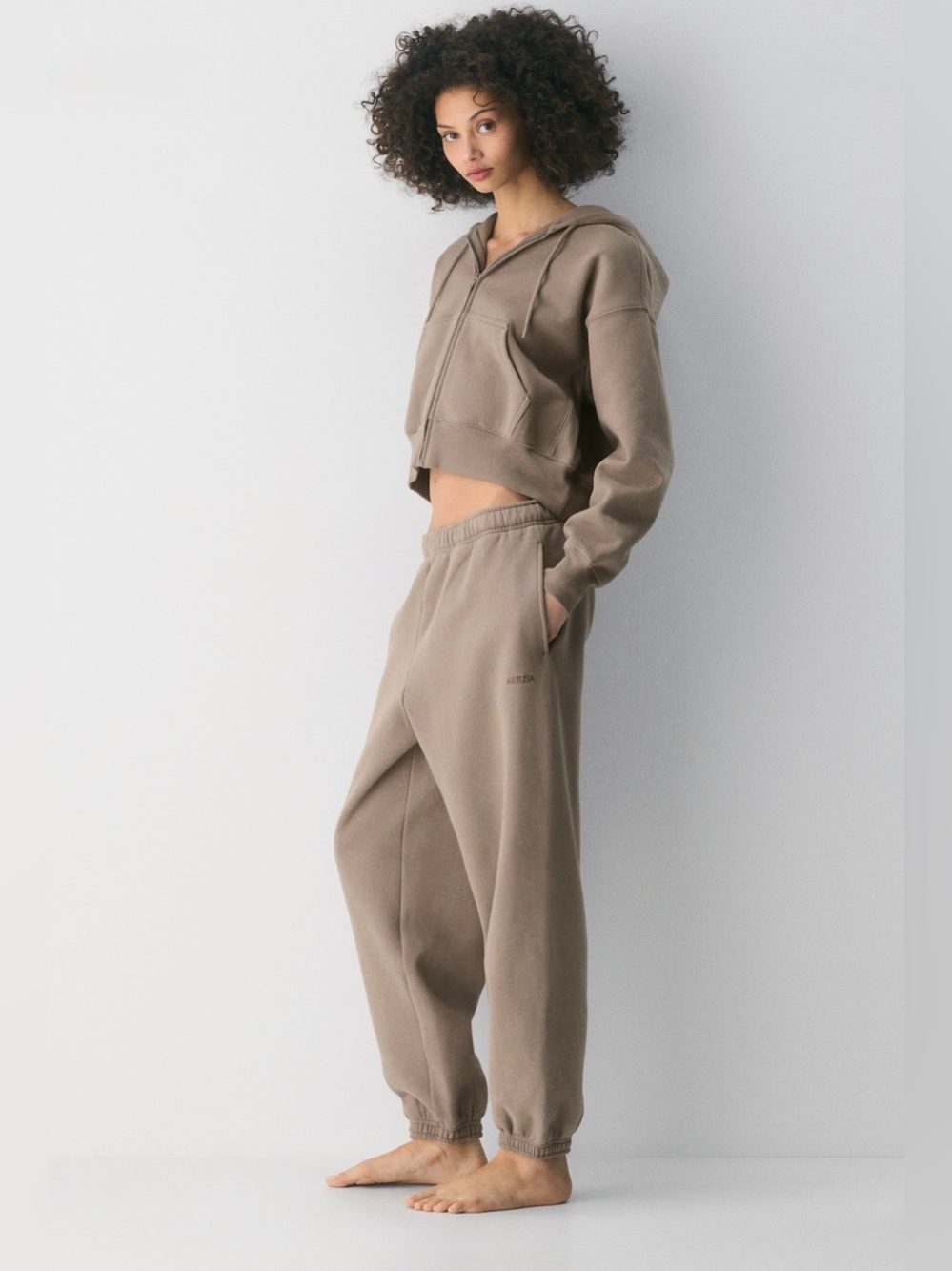 Aritzia Mega Cozy Fleece Sweatpants